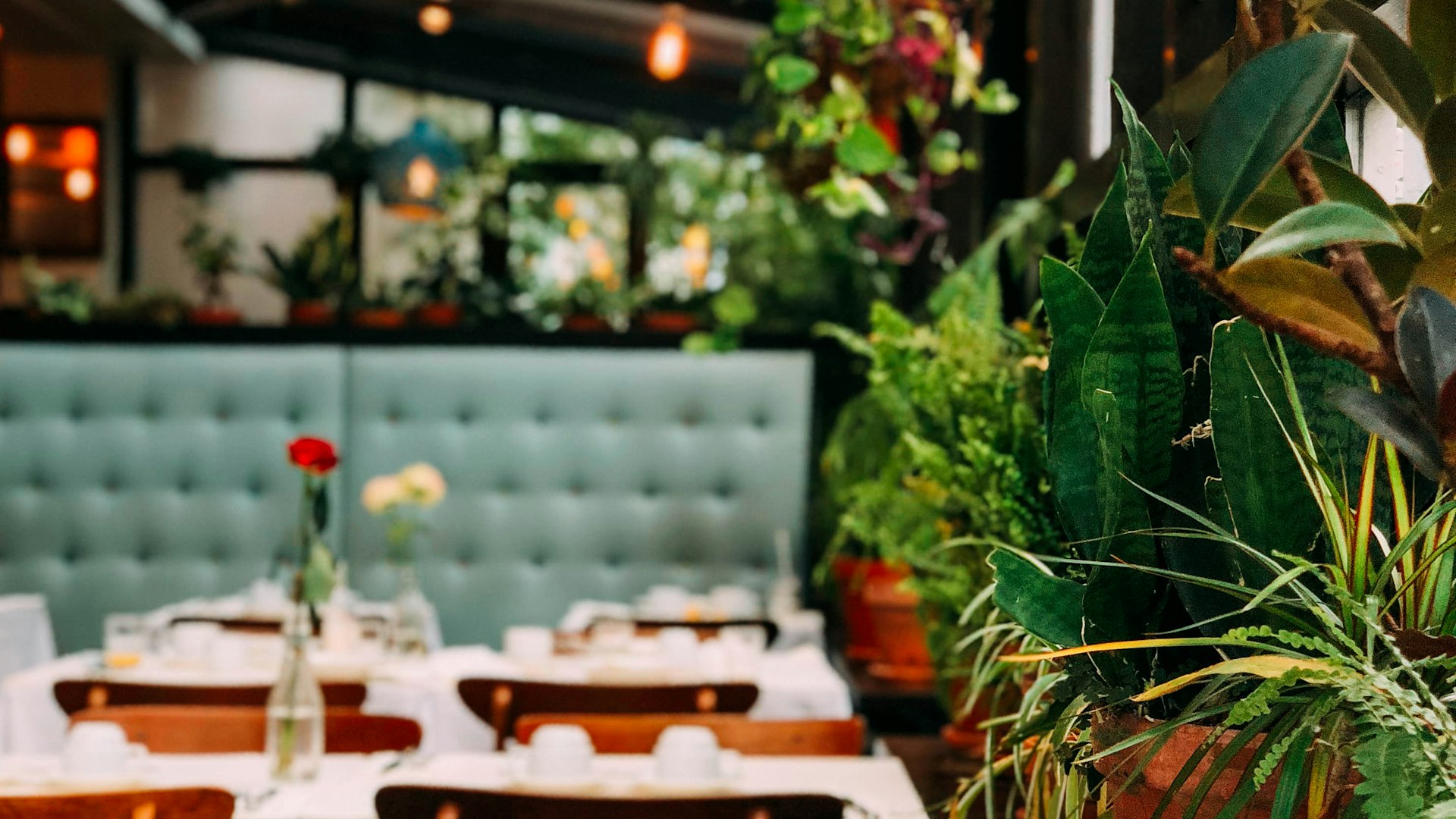 Automated reporting dashboard